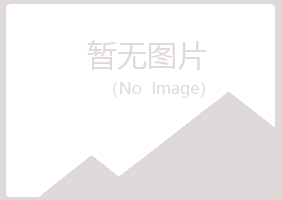 铁山区如波司法有限公司